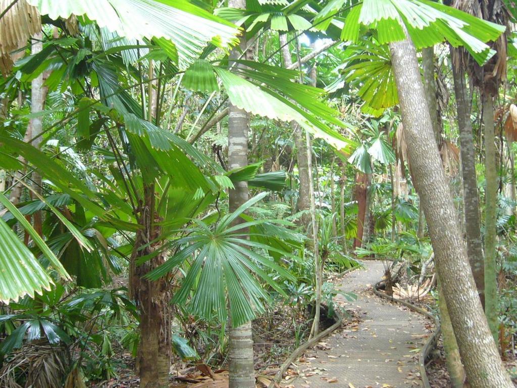 Port Douglas Retreat Экстерьер фото