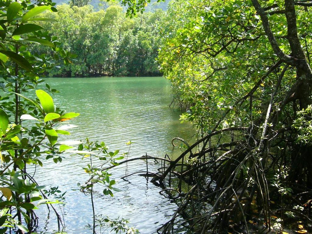Port Douglas Retreat Экстерьер фото